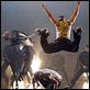 Stomp the Yard : photo Sylvain White