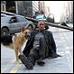 I Am Legend