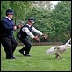 Hot Fuzz - Zwei abgewichste Profis