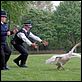 Hot Fuzz - Zwei abgewichste Profis