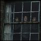 28 Weeks Later : photo Catherine McCormack, Juan Carlos Fresnadillo