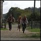 28 Weeks Later : photo Juan Carlos Fresnadillo