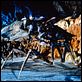 Starship Troopers : photo Paul Verhoeven