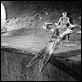Die unglaubliche Geschichte des Mister C. : photo Grant Williams, Jack Arnold