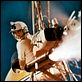 James Bond 007 - Feuerball : photo Sean Connery, Terence Young