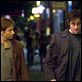 Things We Lost in the Fire : photo Benicio Del Toro, David Duchovny, Susanne Bier