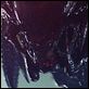 Aliens Vs. Predator 2