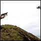Die Todeskandidaten : photo Scott Wiper, Steve Austin