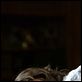 Rise: Blood Hunter : photo Lucy Liu, Sebastian Gutierrez