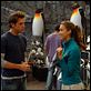 Der Glücksbringer : photo Dane Cook, Jessica Alba, Mark Helfrich