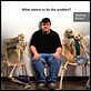 Sicko : poster Michael Moore