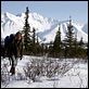 Into the Wild : photo Emile Hirsch, Sean Penn