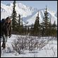 Into the Wild : photo Emile Hirsch, Sean Penn