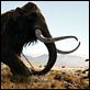 10.000 BC : photo Roland Emmerich