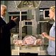 Tödliche Versprechen : photo Armin Mueller-Stahl, David Cronenberg, Naomi Watts