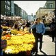Notting Hill : photo Hugh Grant, Roger Michell