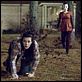 The Strangers : photo Bryan Bertino, Gemma Ward, Liv Tyler