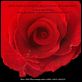Die Liebe in den Zeiten der Cholera : poster Mike Newell