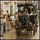 Die Liebe in den Zeiten der Cholera : photo Mike Newell