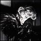 Die Vögel : photo Alfred Hitchcock, Tippi Hedren