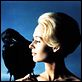Die Vögel : photo Alfred Hitchcock, Tippi Hedren