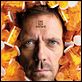 Dr. House