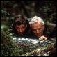 Auf Messers Schneide : photo Alec Baldwin, Anthony Hopkins, Lee Tamahori