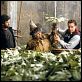 Harry Potter und die Kammer des Schreckens : photo Chris Columbus, Miriam Margolyes