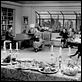Cocktail für eine Leiche : photo Alfred Hitchcock, Cedric Hardwicke, Constance Collier, Douglas Dick, Farley Granger