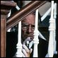 Dolores : photo Christopher Plummer, Taylor Hackford
