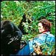 Gorillas im Nebel : photo Michael Apted, Sigourney Weaver