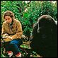 Gorillas im Nebel : photo Michael Apted, Sigourney Weaver