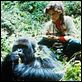 Gorillas im Nebel : photo Michael Apted, Sigourney Weaver