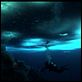 The Wild Blue Yonder