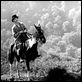 Die Frau des Farmers : photo Alfred Hitchcock