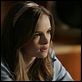 Shark : photo Danielle Panabaker