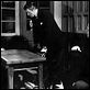 Der Fall Paradin : photo Alfred Hitchcock, Alida Valli, Charles Coburn, Gregory Peck
