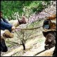 Forbidden Kingdom : photo Jackie Chan, Rob Minkoff