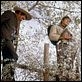 Pancho Villa reitet : photo Buzz Kulik, Charles Bronson, Yul Brynner
