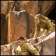 Dinotopia : photo Wentworth Miller