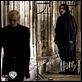 Harry Potter und der Halbblutprinz : photo Afshan Azad, Alfred Enoch, David Yates, Devon Murray, Emma Watson