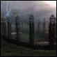 Harry Potter und der Halbblutprinz : photo David Yates, J.K. Rowling