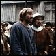 Die Wiederkehr des Martin Guerre : photo Daniel Vigne, Gérard Depardieu