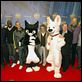 Bolt - Ein Hund für alle Fälle : photo Byron Howard, Chris Williams, Clark Spencer, Fred Testot, Gilles Lellouche