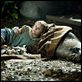 Die Insel der Abenteuer : photo Abigail Breslin, Jennifer Flackett, Mark Levin