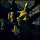Der unglaubliche Hulk : photo Louis Leterrier