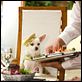 Beverly Hills Chihuahua