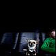 Beverly Hills Chihuahua