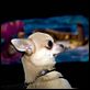 Beverly Hills Chihuahua