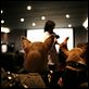 Beverly Hills Chihuahua